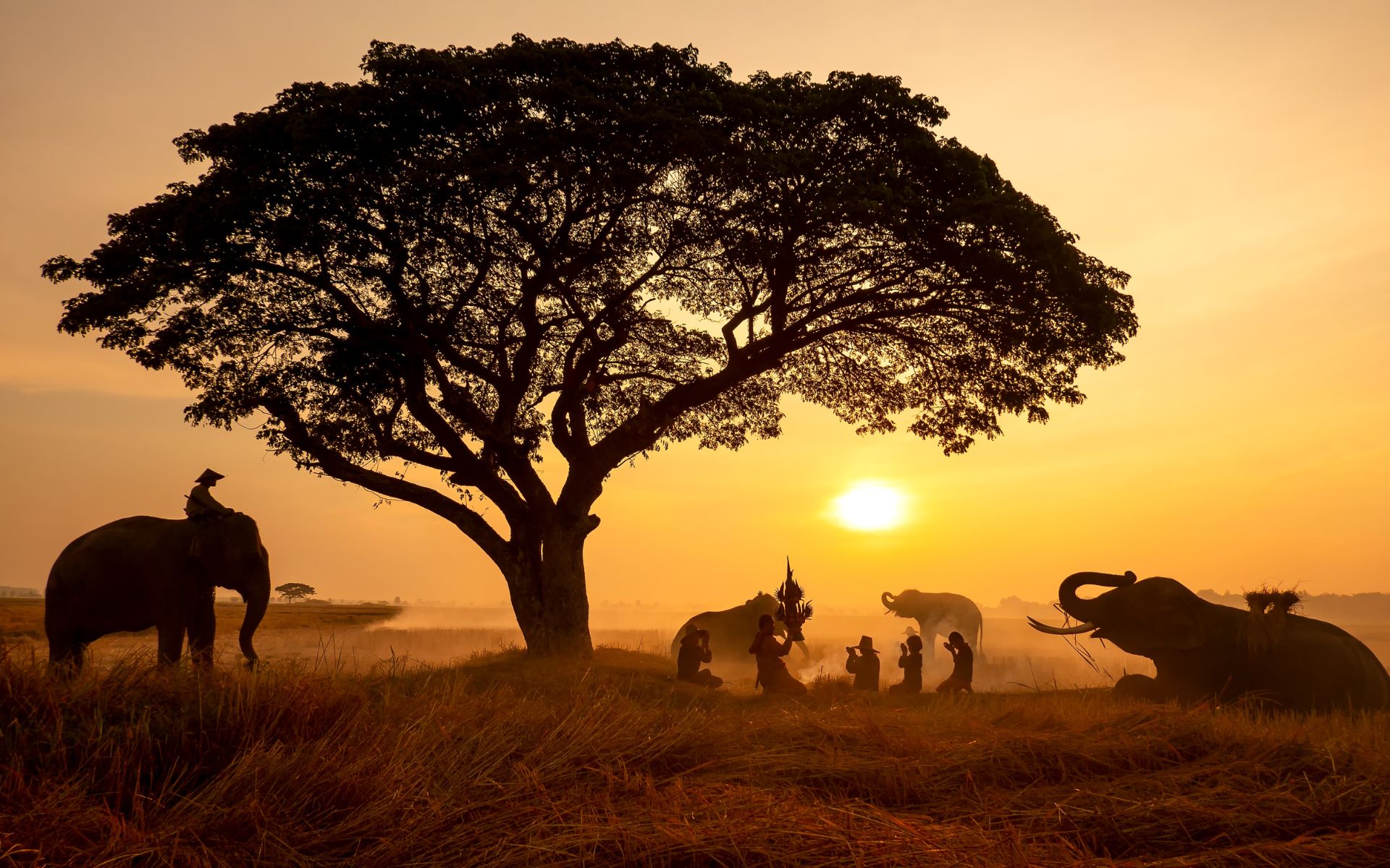 Великая Миграция животных