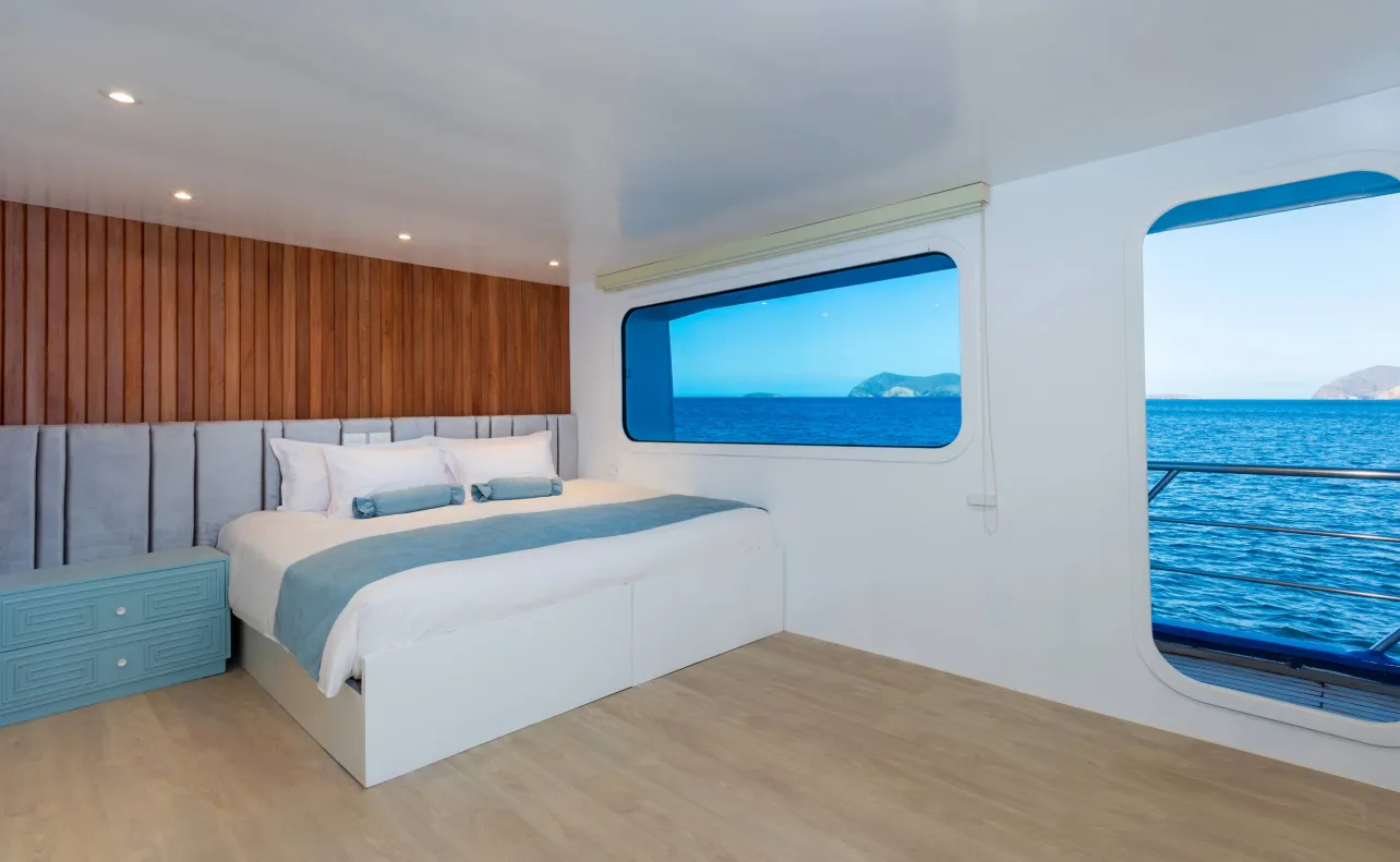 Люкс с балконом 