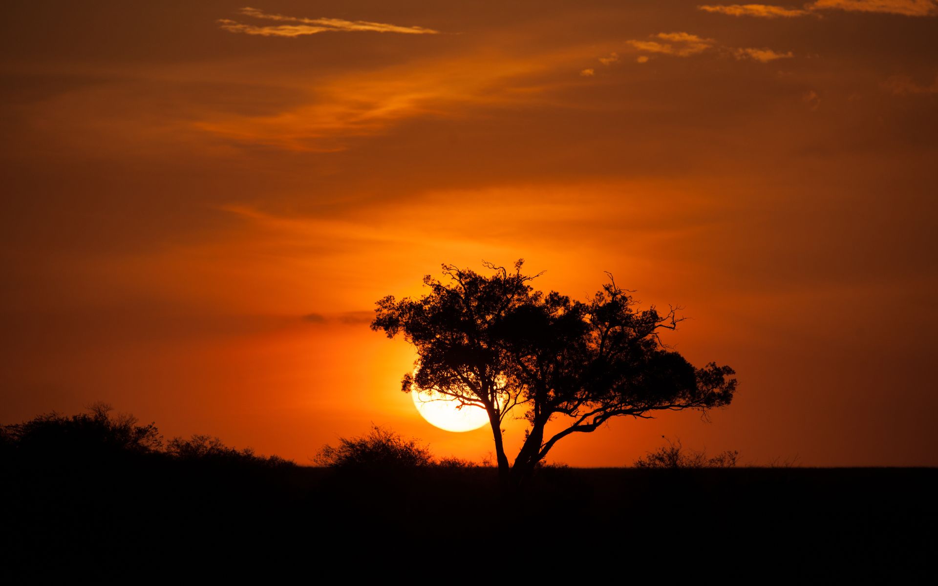 Великая Миграция животных Сентябрь