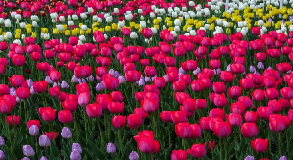 Туры на 8 Марта