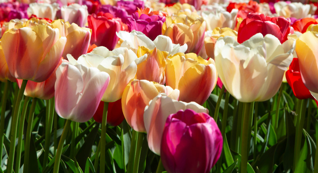 Путешествия на майские 