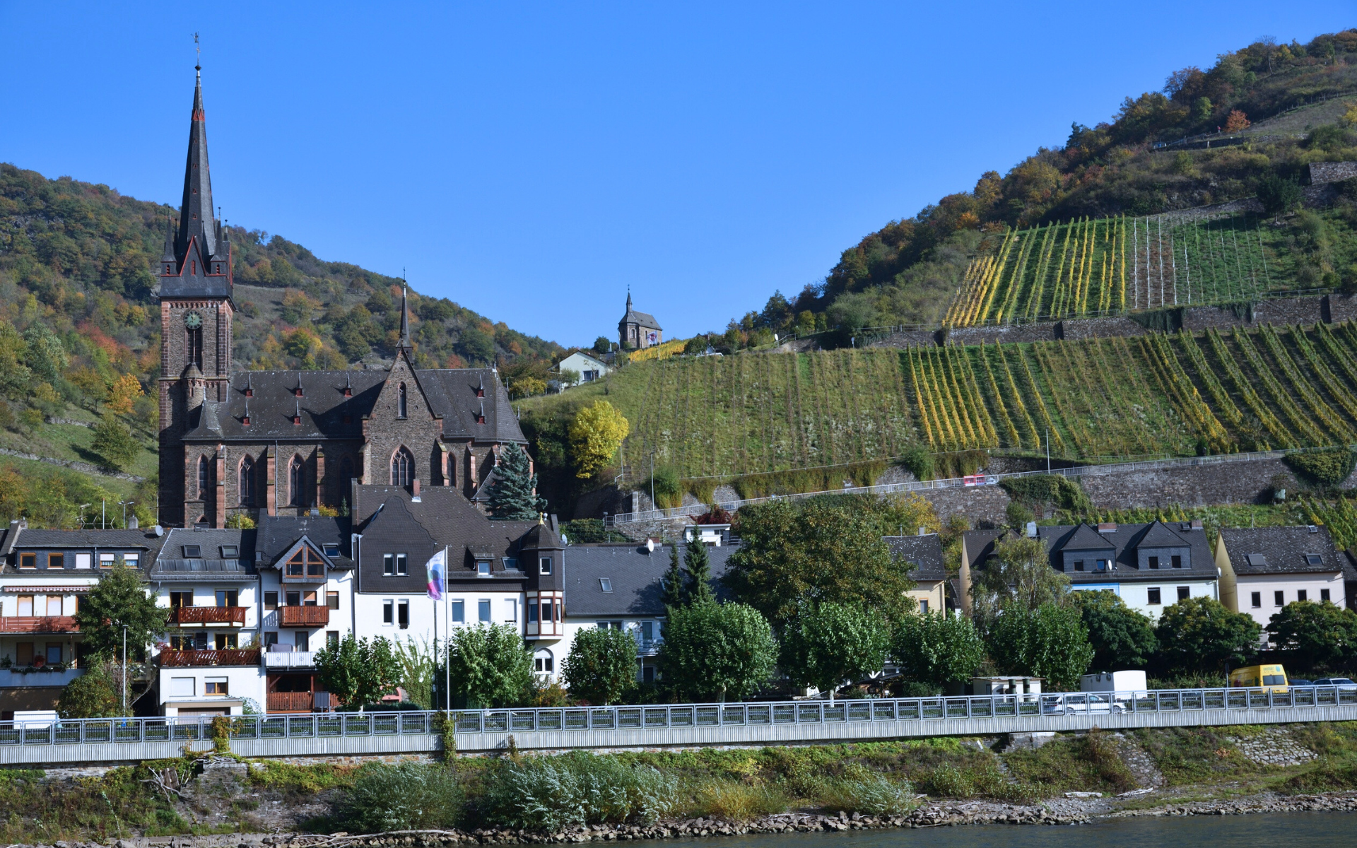 Ночь гурманов на Рейне